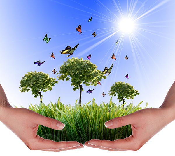 工业污泥烘干机环保收益 工业污泥烘干机环保收益