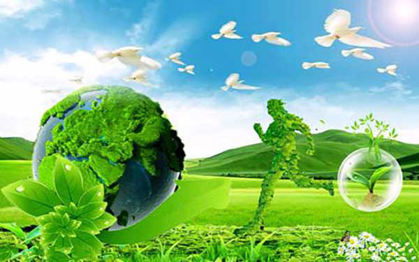 一台质量好的金属污泥烘干机具有哪些特点 一台质量好的金属污泥烘干机具有哪些特点